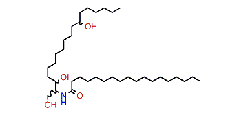 Nephtixamide B